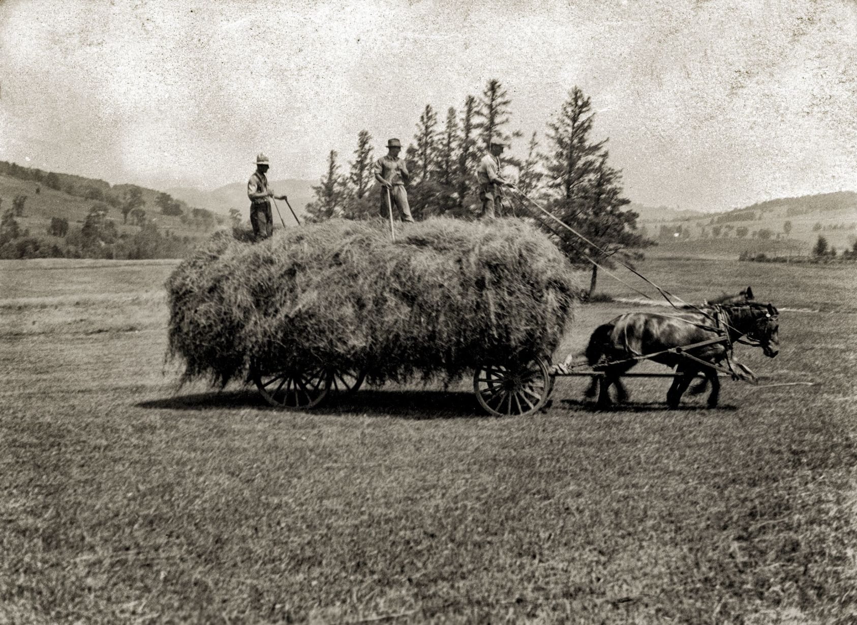 7. Haying in Waterford Hollow 1926.psd